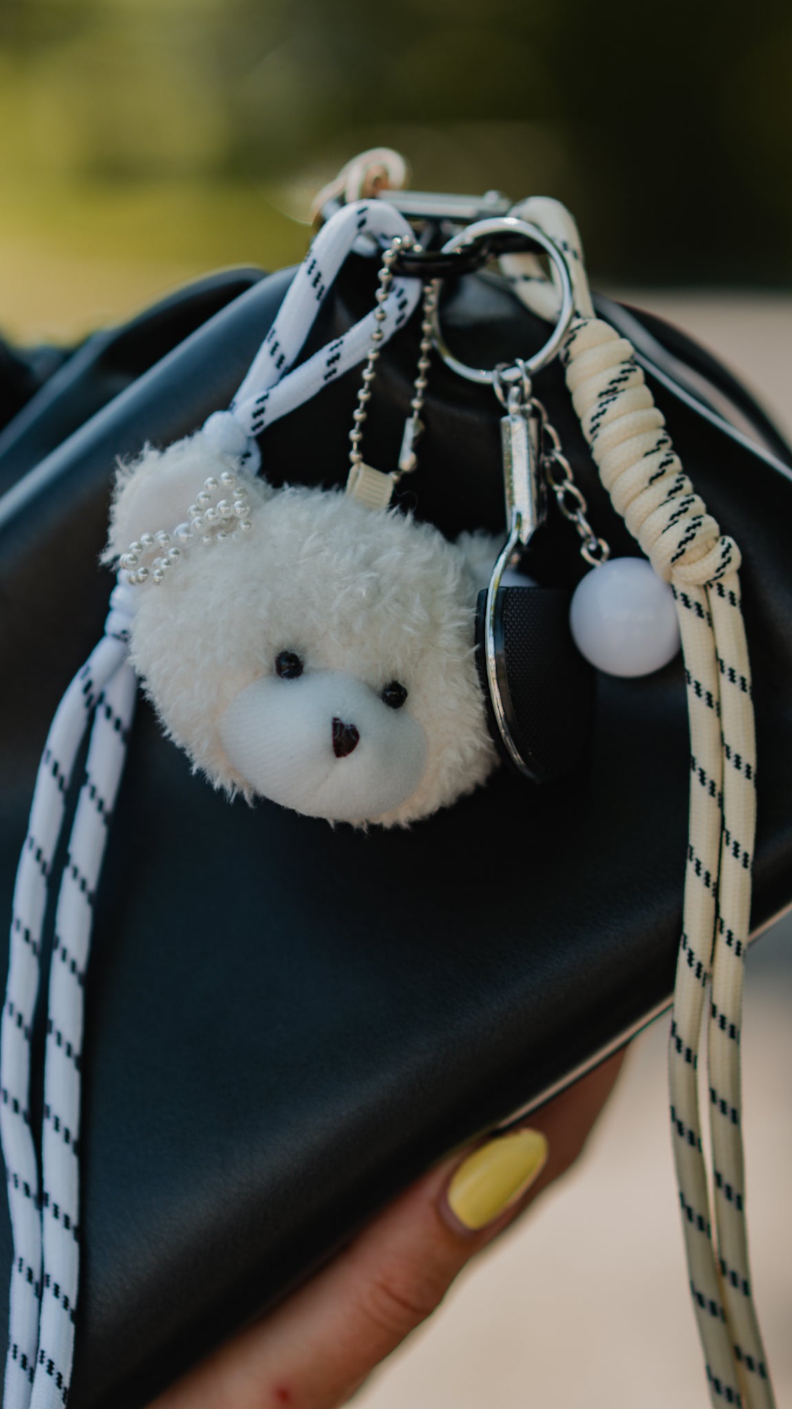 bear